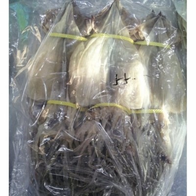 용궁수산[kijang.kr]기장특산품 반건조 오징어(10미,중)용궁수산건어물해초